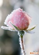 细菌性肝脓肿
