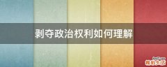 剥夺政治权利如何理解