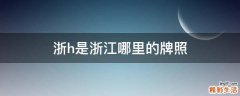 浙h是浙江哪里的牌照