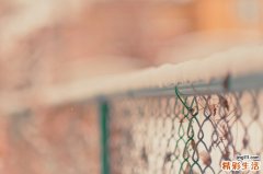 4 十三个去痘印绝招一次教给你