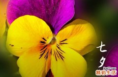 2023七夕节送女朋友什么礼物好 今年七夕送什么给女朋友好