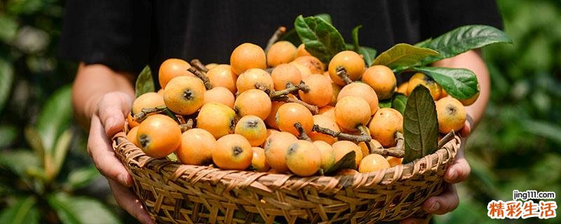 吃枇杷果有什么好处 枇杷果直接吃治咳嗽么