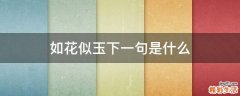 如花似玉下一句是什么