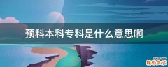 预科本科专科是什么意思啊