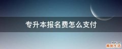 专升本报名费怎么支付