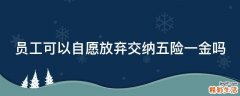 员工可以自愿放弃交纳五险一金吗