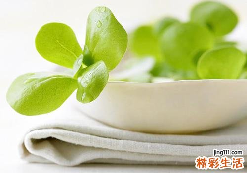 马齿苋能治糖尿病吗