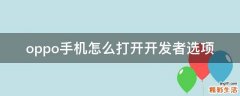 oppo手机怎么打开开发者选项