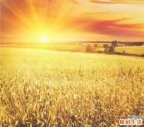 催眠药的正确使用方法