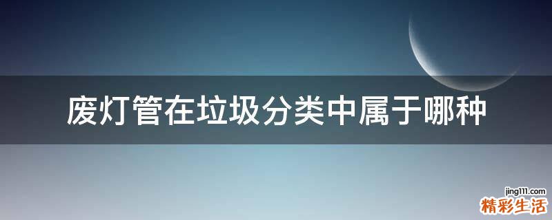 废灯管在垃圾分类中属于哪种