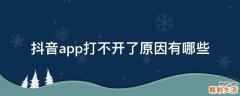 抖音app打不开了原因有哪些