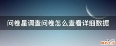 问卷星调查问卷怎么查看详细数据