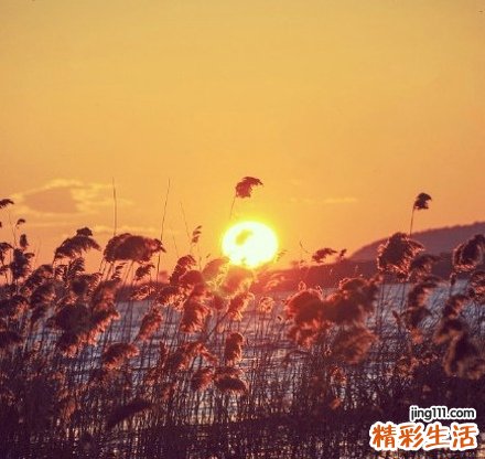 控制你的心理“压力阀”