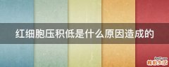 红细胞压积低是什么原因造成的
