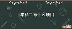 c本科二考什么项目
