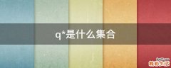 q*是什么集合