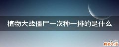 植物大战僵尸一次种一排的是什么