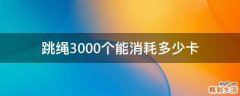 跳绳3000个能消耗多少卡