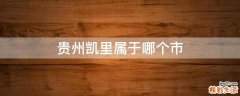 贵州凯里属于哪个市