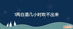 1两白酒几小时吹不出来