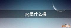 pg是什么梗