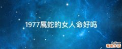 1977属蛇的女人命好吗
