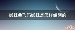 蜘蛛会飞吗蜘蛛是怎样结网的