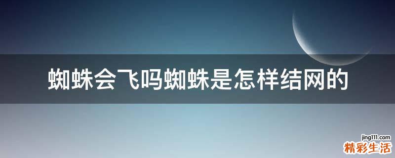 蜘蛛会飞吗蜘蛛是怎样结网的