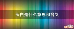 头白是什么意思和含义