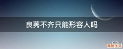 良莠不齐只能形容人吗