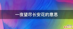 一夜望尽长安花的意思