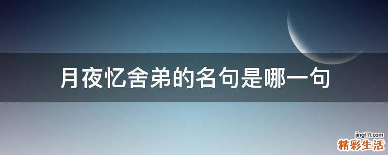 月夜忆舍弟的名句是哪一句