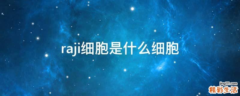 raji细胞是什么细胞