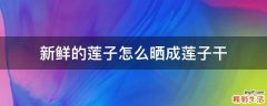 新鲜的莲子怎么晒成莲子干