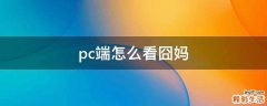 pc端怎么看囧妈