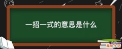 一招一式的意思是什么