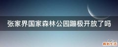 张家界国家森林公园蹦极开放了吗