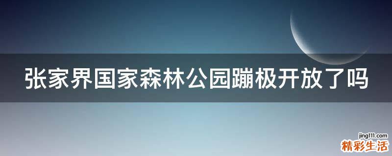 张家界国家森林公园蹦极开放了吗