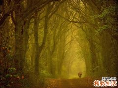 3 用舞台慰藉受伤心灵