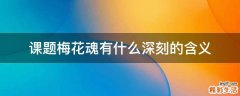 课题梅花魂有什么深刻的含义
