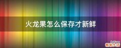 火龙果怎么保存才新鲜