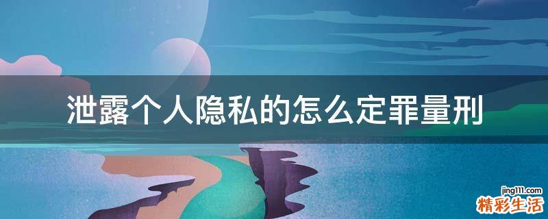 泄露个人隐私的怎么定罪量刑