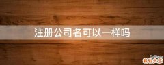 注册公司名可以一样吗