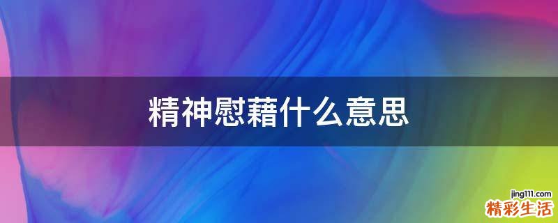 精神慰藉什么意思