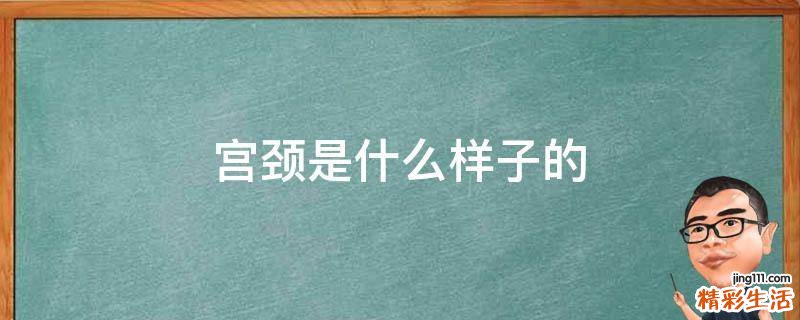 宫颈是什么样子的