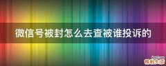 微信号被封怎么去查被谁投诉的
