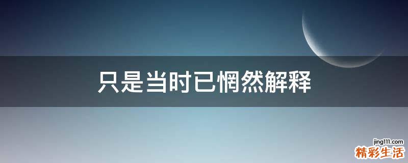 只是当时已惘然解释
