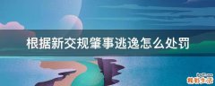 根据新交规肇事逃逸怎么处罚