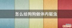 怎么给狗狗做体内驱虫