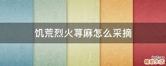 饥荒烈火荨麻怎么采摘